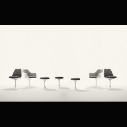 SAARINEN TULIP CHAIR . KNOLL