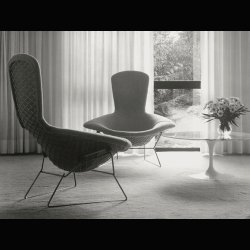  BIRD CHAIR . HARRY BERTOIA . KNOLL 