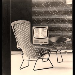  BIRD CHAIR . HARRY BERTOIA . KNOLL 