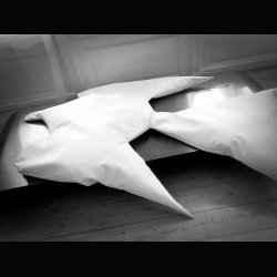 DOVE CUSHION . GRAND