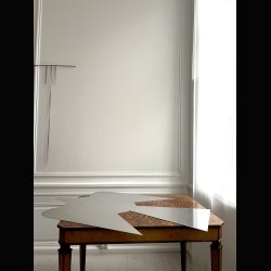 LITTLE DOVE WITH A BIG PEACEFUL STATEMENT . 120 CM DOVE . 