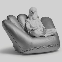 JOE ARMCHAIR IN LEATHER  .  BY POLTRONOVA 