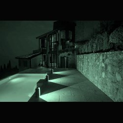 MAIS PLUS QUE CELA JE NE PEUX PAS  35 CM . RUDY RICCIOTTI . NEMO