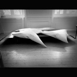 DOVE CUSHION . GRAND