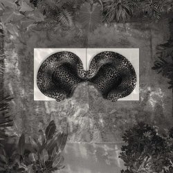 SAFARI SOFA MODULES 85 CM  . BY ARCHIZOOM  ASSOCIATI . 