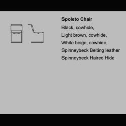 SPOLETO HAIRY LEATHER CHAIR . BY KNOLL