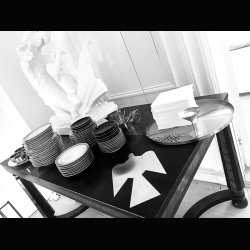 LITTLE DOVE WITH A BIG PEACEFUL STATEMENT . 18 CM DOVE . 