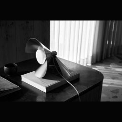 PEEL . STEEL TABLE LAMP 