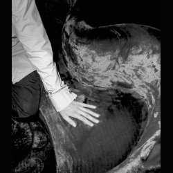 SAFARI SOFA . BY ARCHIZOOM  ASSOCIATI . FOR POLTRONOVA 