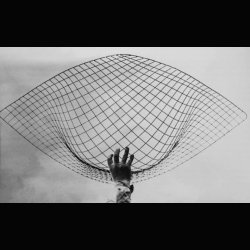  BIRD CHAIR . HARRY BERTOIA . KNOLL 