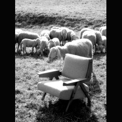 LINA ARMCHAIR wool . GIANFRANCO FRATTINI 