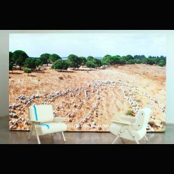 LINA ARMCHAIR wool . GIANFRANCO FRATTINI 