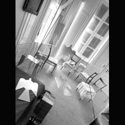 LITTLE DOVE . WITH A BIG PEACEFUL STATEMENT . 120 CM 