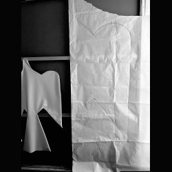 DOVE CUSHION . GRAND