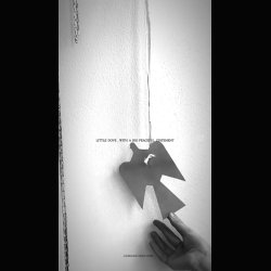 LITTLE DOVE WITH A BIG PEACEFUL STATEMENT . 18 CM DOVE . 