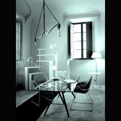 REALE DINING TABLE . CARLO MOLLINO . ZANOTTA 