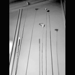 LA POESIE  > WE NEED MORE POETRY  ... 