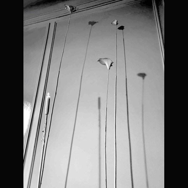 LA POESIE  > WE NEED MORE POETRY  ... 