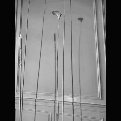 LA POESIE  > WE NEED MORE POETRY  ... 