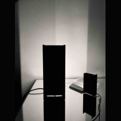 MAIS PLUS QUE CELA JE NE PEUX PAS . RUDY RICCIOTTI . NEMO