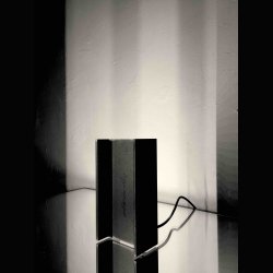 MAIS PLUS QUE CELA JE NE PEUX PAS . RUDY RICCIOTTI . NEMO