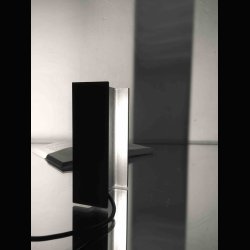 MAIS PLUS QUE CELA JE NE PEUX PAS . RUDY RICCIOTTI . NEMO