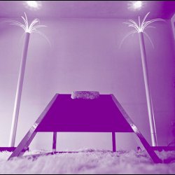 SANREMO PALM LIGHT . BY ARCHIZOOM ASSOCIATI 