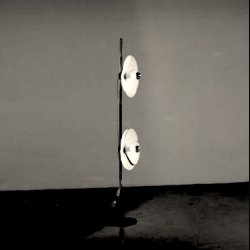 FLEUR D' OLIVIER MOURGUE  . LAMP 2093 / 150 . 1969