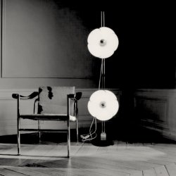 FLEUR D' OLIVIER MOURGUE  . LAMP 2093 / 150 . 1969