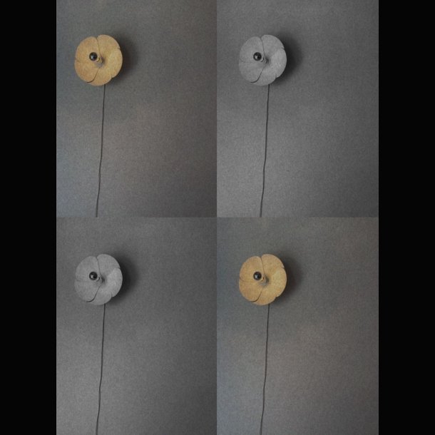 OLIVIER MOURGUE FLOWER . WALL LAMP 