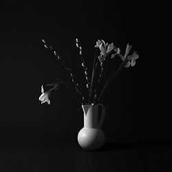 STRM KANDE HVID . RAAWII 