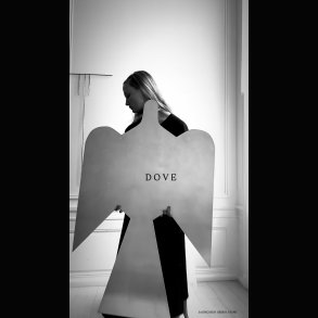 LITTLE DOVE WITH A BIG PEACEFUL STATEMENT . 120 CM DOVE . 