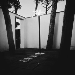 SANREMO PALM LIGHT . BY ARCHIZOOM ASSOCIATI 