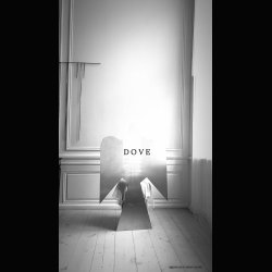 LITTLE DOVE WITH A BIG PEACEFUL STATEMENT . 120 CM DOVE . 