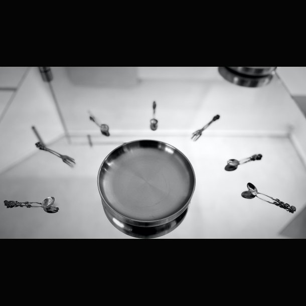  STEEL DINING PLATE . TERMO . BRUSHED STEEL 